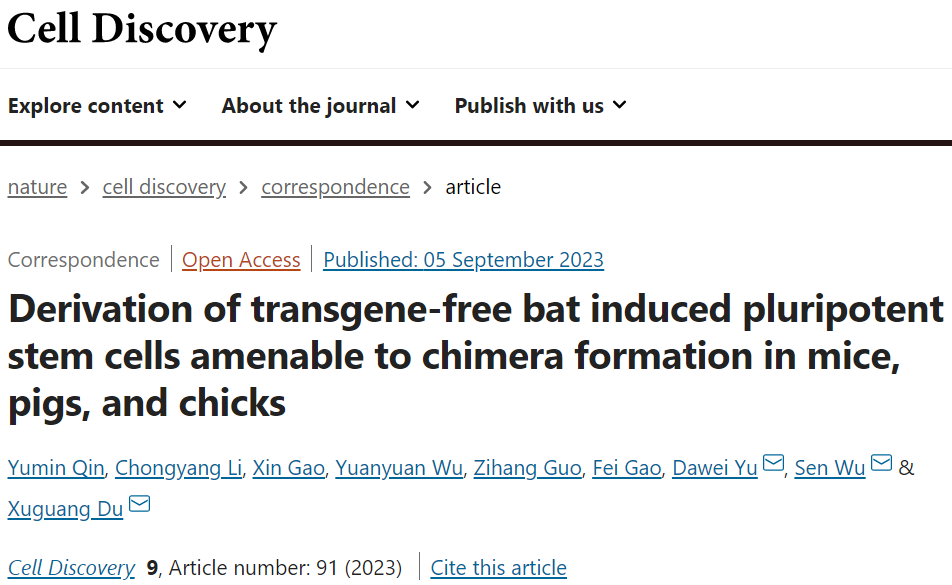 CELL DISCOV丨杜旭光/吳森等開發無轉基因蝙蝠誘導的多能干細胞，適合小鼠、豬和小雞形成嵌合體(圖1)