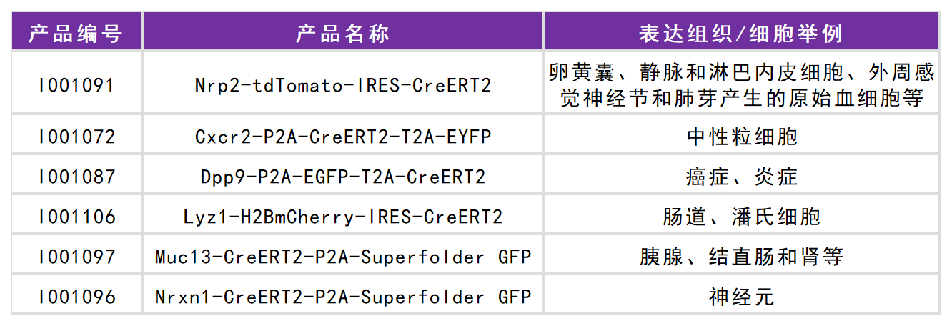 賽業生物工具鼠列表